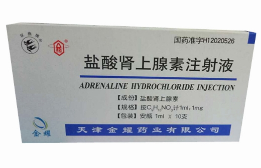 盐酸肾上腺素注射液 (双燕牌) 盐酸肾上腺素注射液