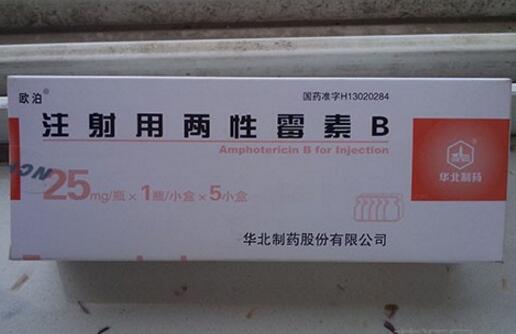 注射用两性霉素B (欧泊/华北制药) 欧泊/华北制药