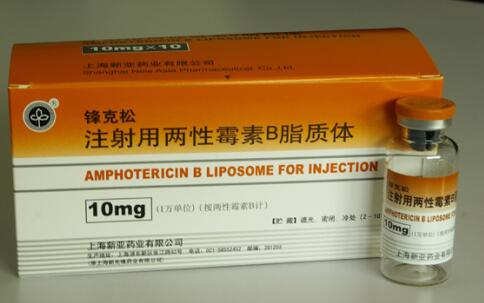 注射用两性霉素B脂质体 (锋克松) 锋克松