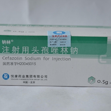 钠林注射用头孢唑林钠 10瓶