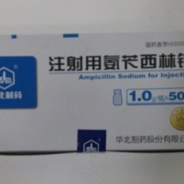 华北制药注射用氨苄西林钠 1.0g*50瓶
