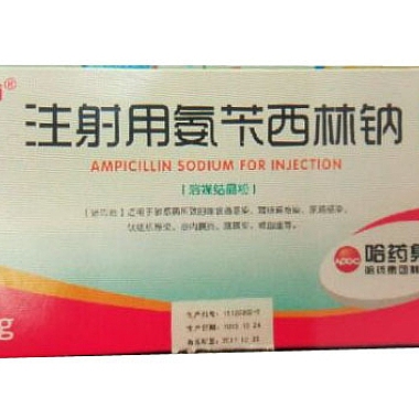 注射用氨苄西林钠 1g 哈药制药总厂