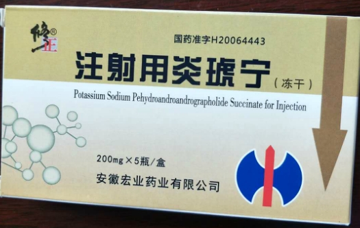注射用炎琥宁 (修正) 修正