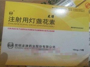 注射用灯盏花素 (龙津) 注射用灯盏花素