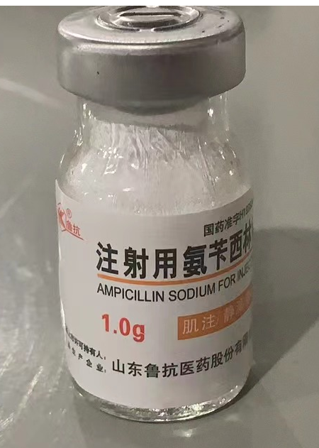 注射用氨苄西林钠 注射用氨苄西林钠