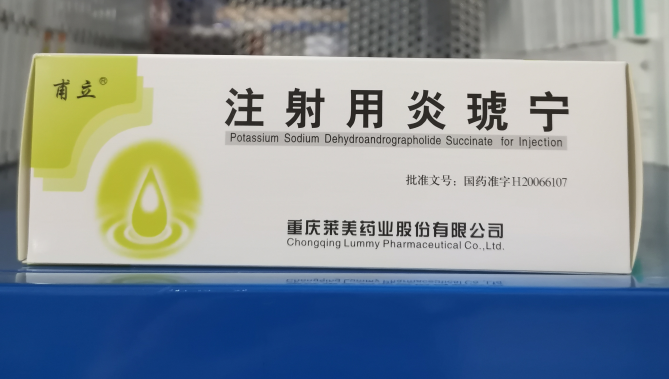 注射用炎琥宁 (莱美) 注射用炎琥宁