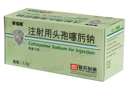 注射用头孢噻肟钠 注射用头孢噻肟钠