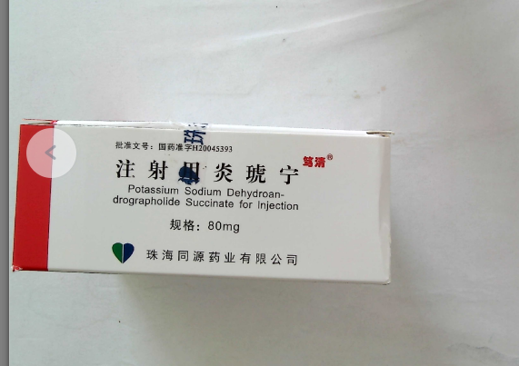注射用炎琥宁 注射用炎琥宁